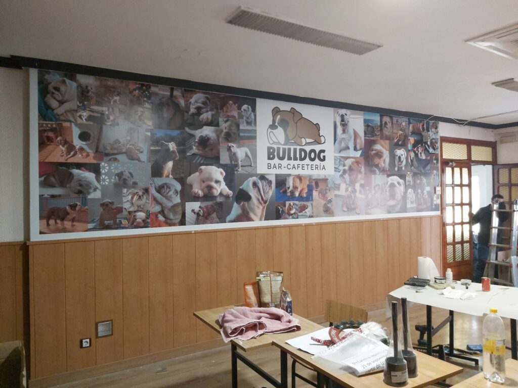 Rotulación de pared